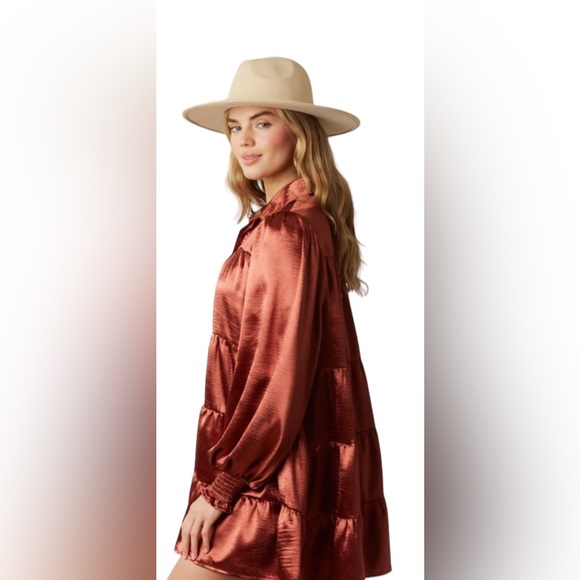 Winter Fall Country Gorgeous Dress w/ Pockets in Bronze NWT - Picture 6 of 12